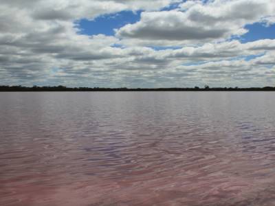 Le Lac Rose 