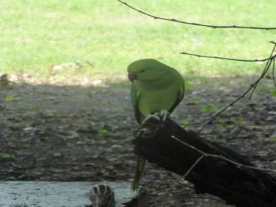 Réserve d'oiseaux