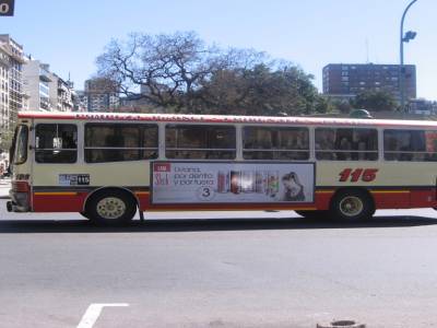 Bus