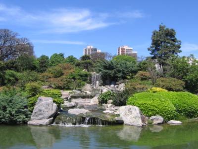 Jardin japonais