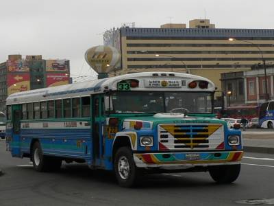 Bus