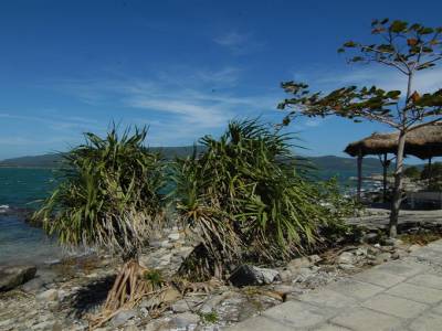 Nha Trang ballade