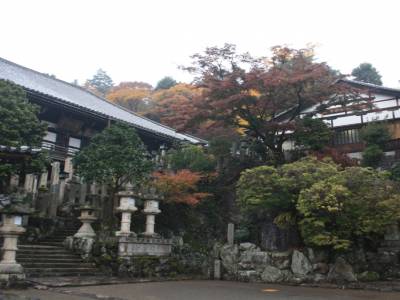 Nara