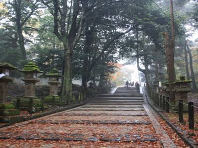 L'automne de Nara
