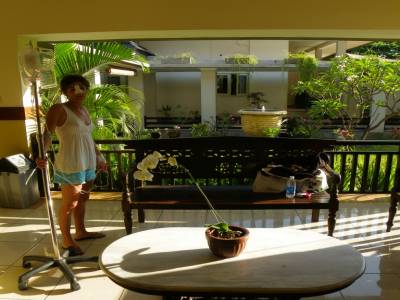 hosto super classe avec jardin interieur....