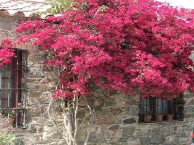Ville de Colonia Sacramento 2