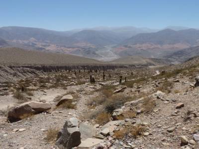 Seuls les cactus peuvent se faire une place ici