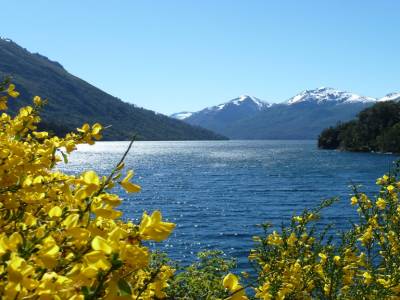 Montagne enneigée, lac aux eaux limpides, fleurs colorées...