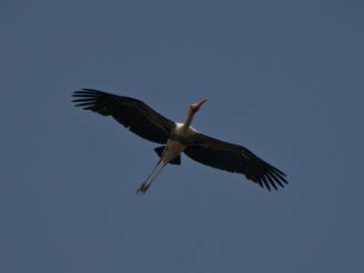 Réserve d'oiseaux