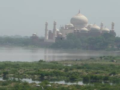 Taj Express