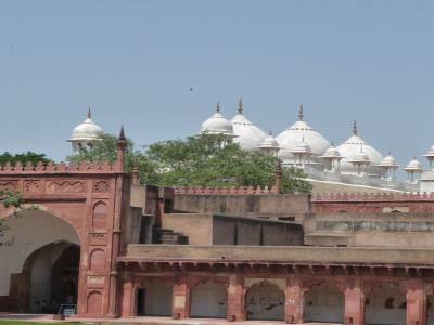 Taj Express