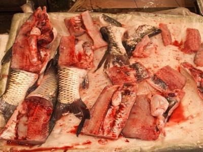 Un peu de poisson frais?