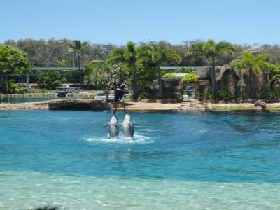 Sea World