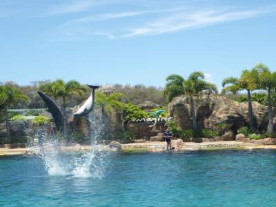 Sea World