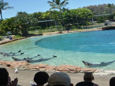 Sea World