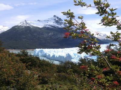 Le glacier Perito Morino