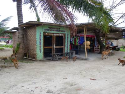 Les grands magasins de kuta, au milieu des chevres....