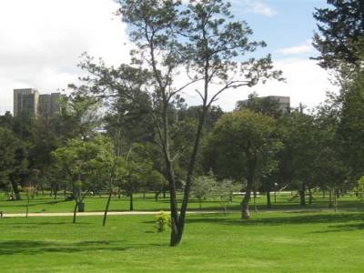 Parque El Ejido