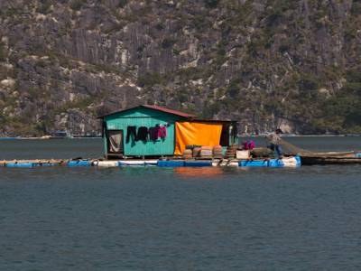 Baie d'Along
