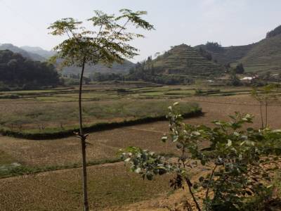 Bac Ha, dans les montagnes du nord