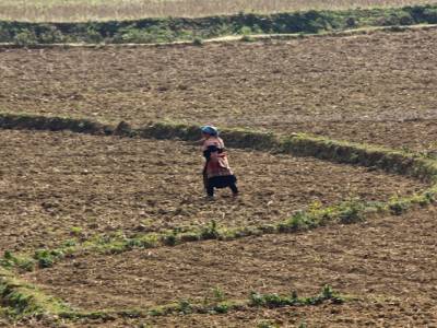 Bac Ha, dans les montagnes du nord