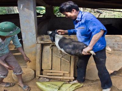 Bac Ha, dans les montagnes du nord