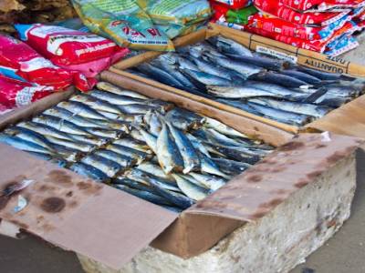 Bac Ha, dans les montagnes du nord