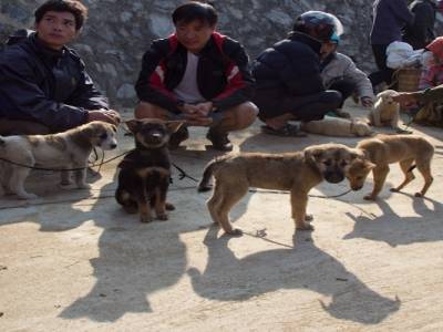 Bac Ha, dans les montagnes du nord