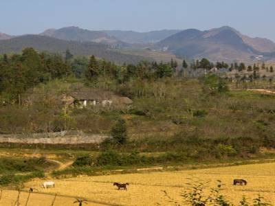 Bac Ha, dans les montagnes du nord