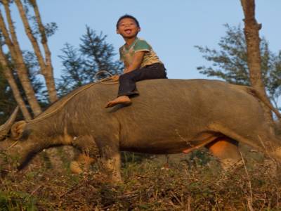 Bac Ha, dans les montagnes du nord