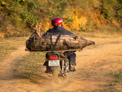 Bac Ha, dans les montagnes du nord