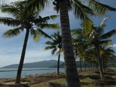 Nha trang
