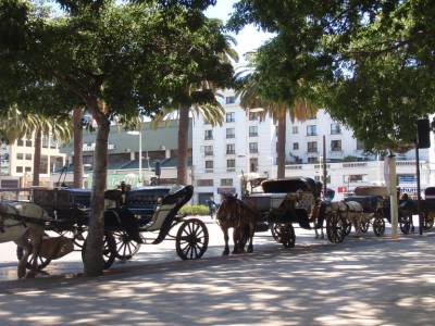 Vina del Mar