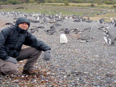 Sur l'île des pingouins de Magellan...