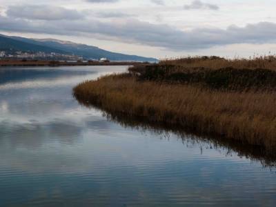 Réserve naturelle de l'étang de Biguglia 