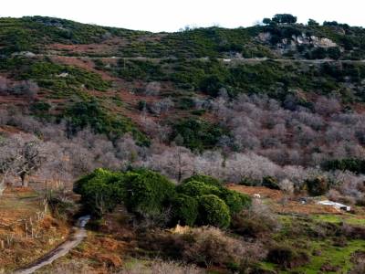 Couleurs de fin d'Automne 2