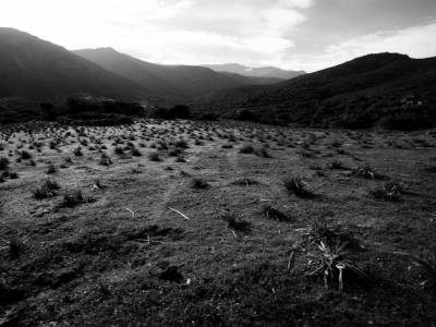 Pagliaghju dans le désert des Agriates