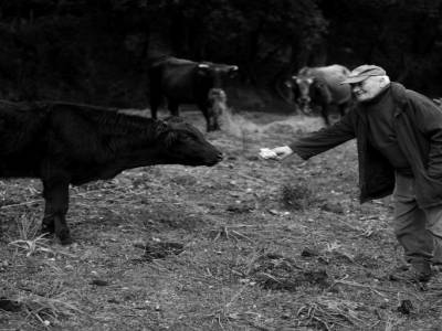 L'ami des bêtes