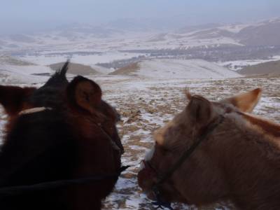 la steppe , la steppe , toujours la steppe