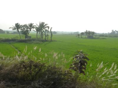 vue du train de Chennai a Pondi