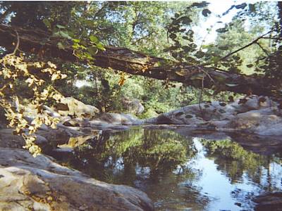Piedralaves (Avila)