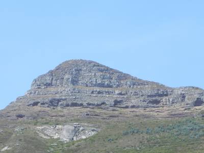 lion's head