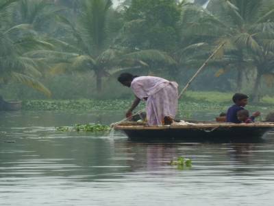 Backwaters