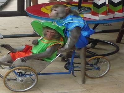 Martine et Jacques en cyclo-pousse
