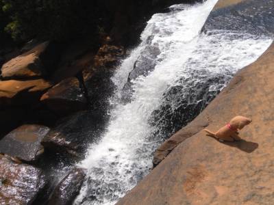fugue pret a tenter le plongeon