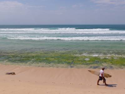 derniere session surf...