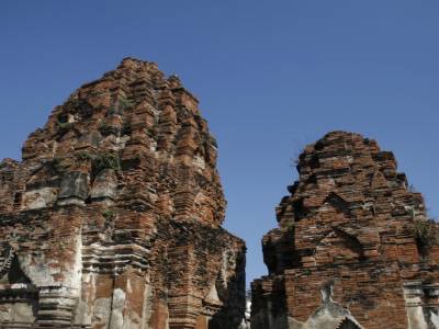 temple des singes
