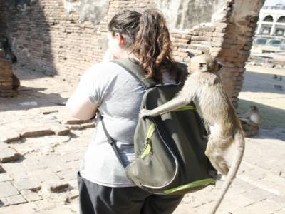 donne moi ton sac
