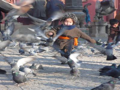 Jeune mongol s'exerçant à la chasse