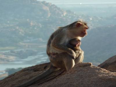 Hampi